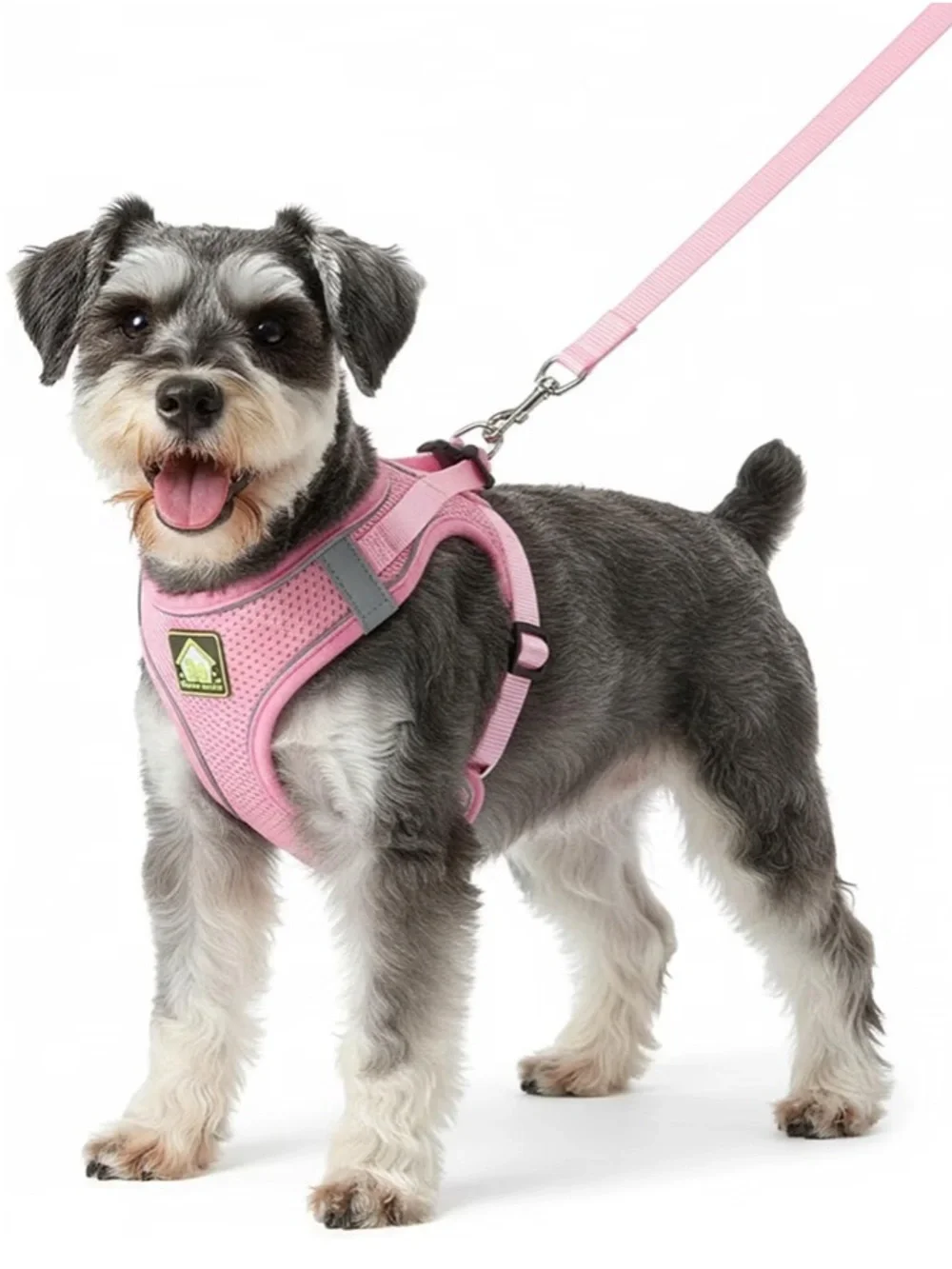 Dog Harness w/ Leash Set, No Pull Adjustable Harness/Thickened Padded. Sz med